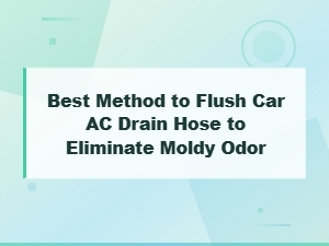 Best Method to Flush Your Car Ac Drain Hose and Eliminate Moldy Odor