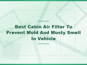 Best Cabin Air Filters to Prevent Mold and Musty Smells