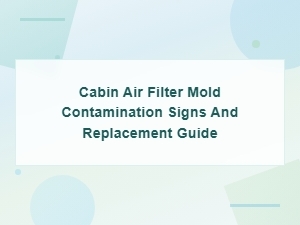 Cabin Air Filter Mold Contamination: Signs, Health Risks and Replacement Guide