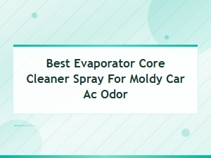 Best Evaporator Core Cleaner Spray for Moldy Car Ac Odor – Top Picks 2024