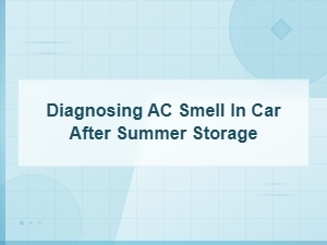 Diagnosing Ac Smell in Your Car After Summer Storage