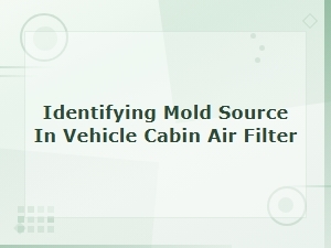Identifying Mold Source in Vehicle Cabin Air Filter