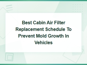 Best Cabin Air Filter Replacement Schedule to Prevent Mold Growth in Vehicles
