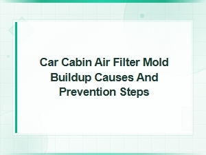 Car Cabin Air Filter Mold Buildup: Causes and Prevention Steps