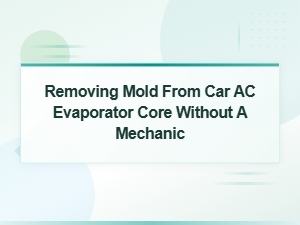 Remove Mold From Car Ac Evaporator Core Without a Mechanic